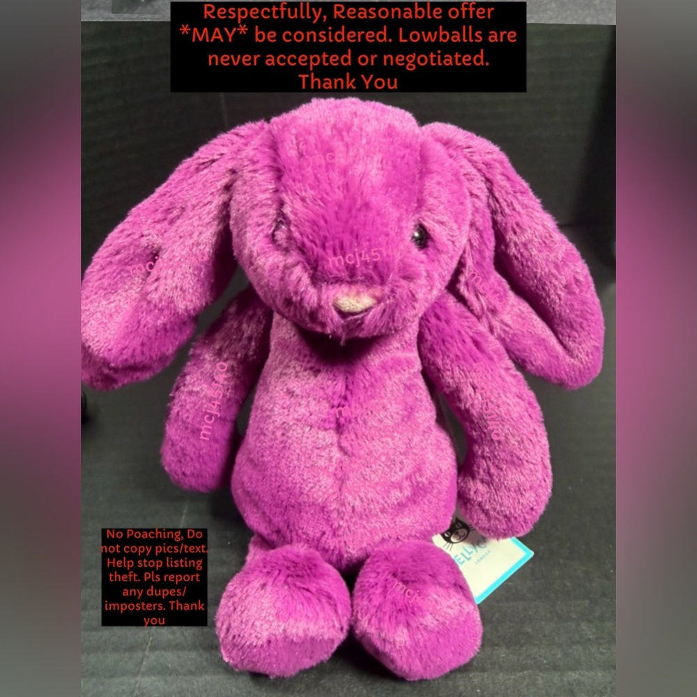 BNWT JELLYCAT LITTLE BASHFUL BUNNY ALLIUM